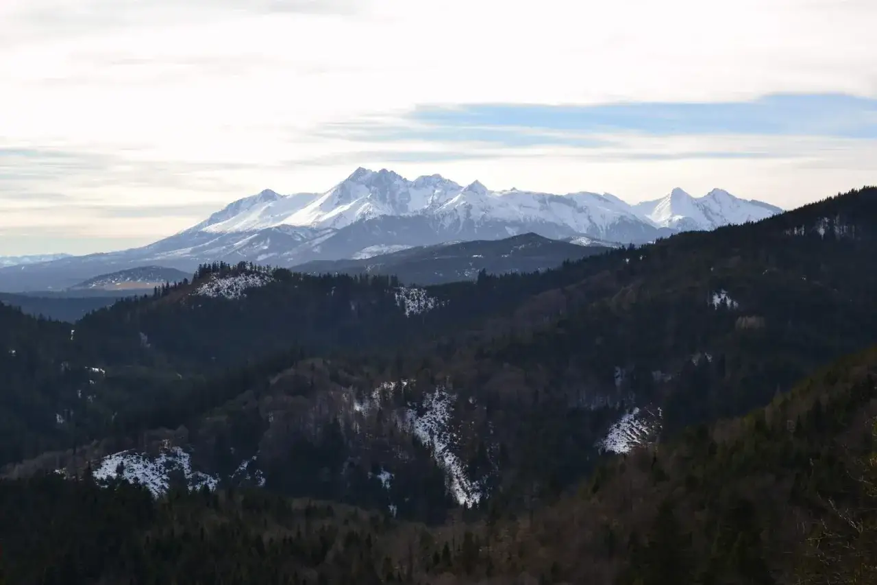 Zalesione wzg&oacute;rza z resztkami śniegu, w oddali majestatyczny, ośnieżony **veterny vrch** pod błękitnym niebem.