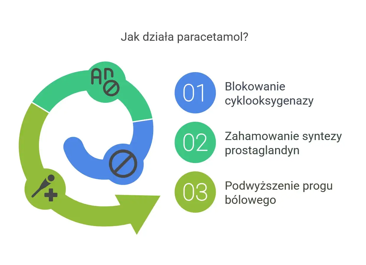 Grafika wyjaśnia, jak działa paracetamol: blokuje cyklooksygenazę, hamuje syntezę prostaglandyn i podwyższa pr&oacute;g b&oacute;lowy. Czy paracetamol jest bezpieczny? Zależy od dawki.
