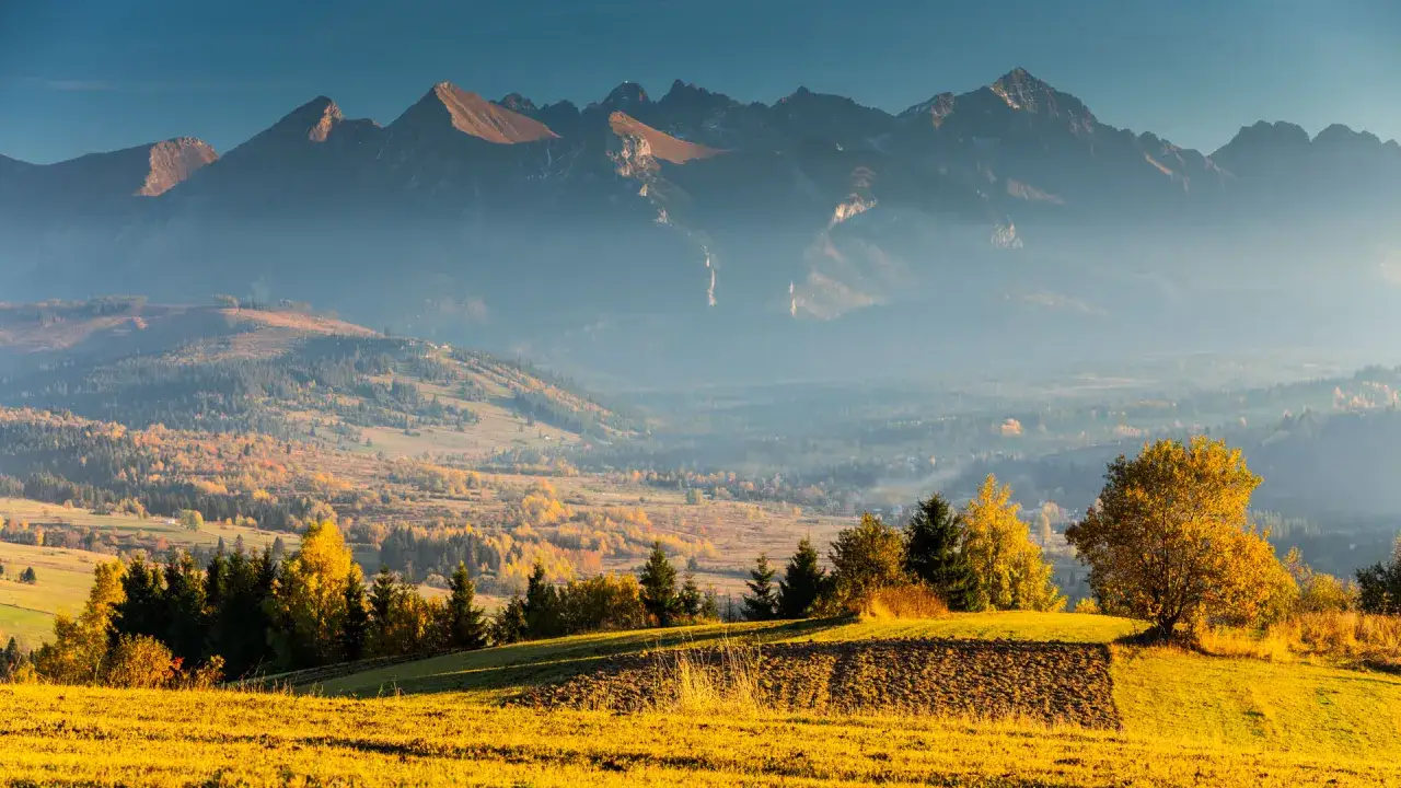 Jesienny, złoty krajobraz z Białki Tatrzańskiej. W oddali majaczą mgliste szczyty Tatr, a na pierwszym planie widać pola i drzewa w jesiennych barwach.