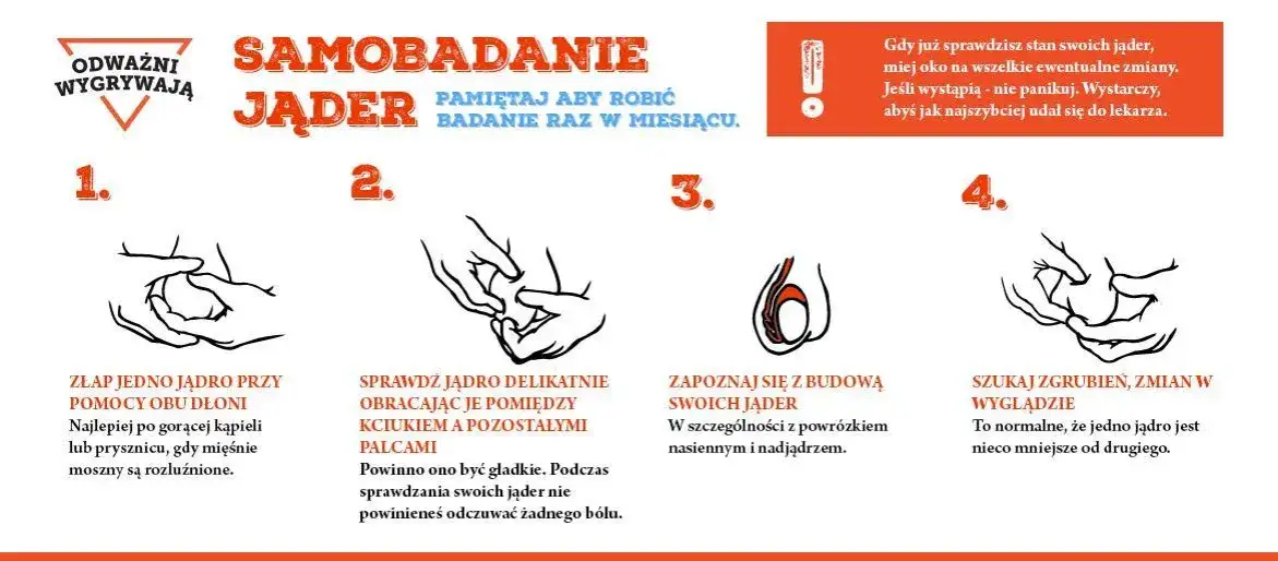 Samobadanie jąder instrukcja