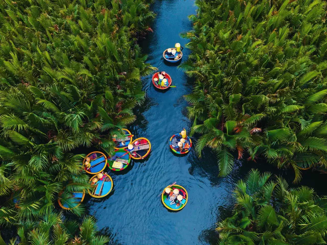 Łódki wśród palm, podróż do Wietnamu. Zastanawiasz się, ile kosztuje wycieczka do Wietnamu?