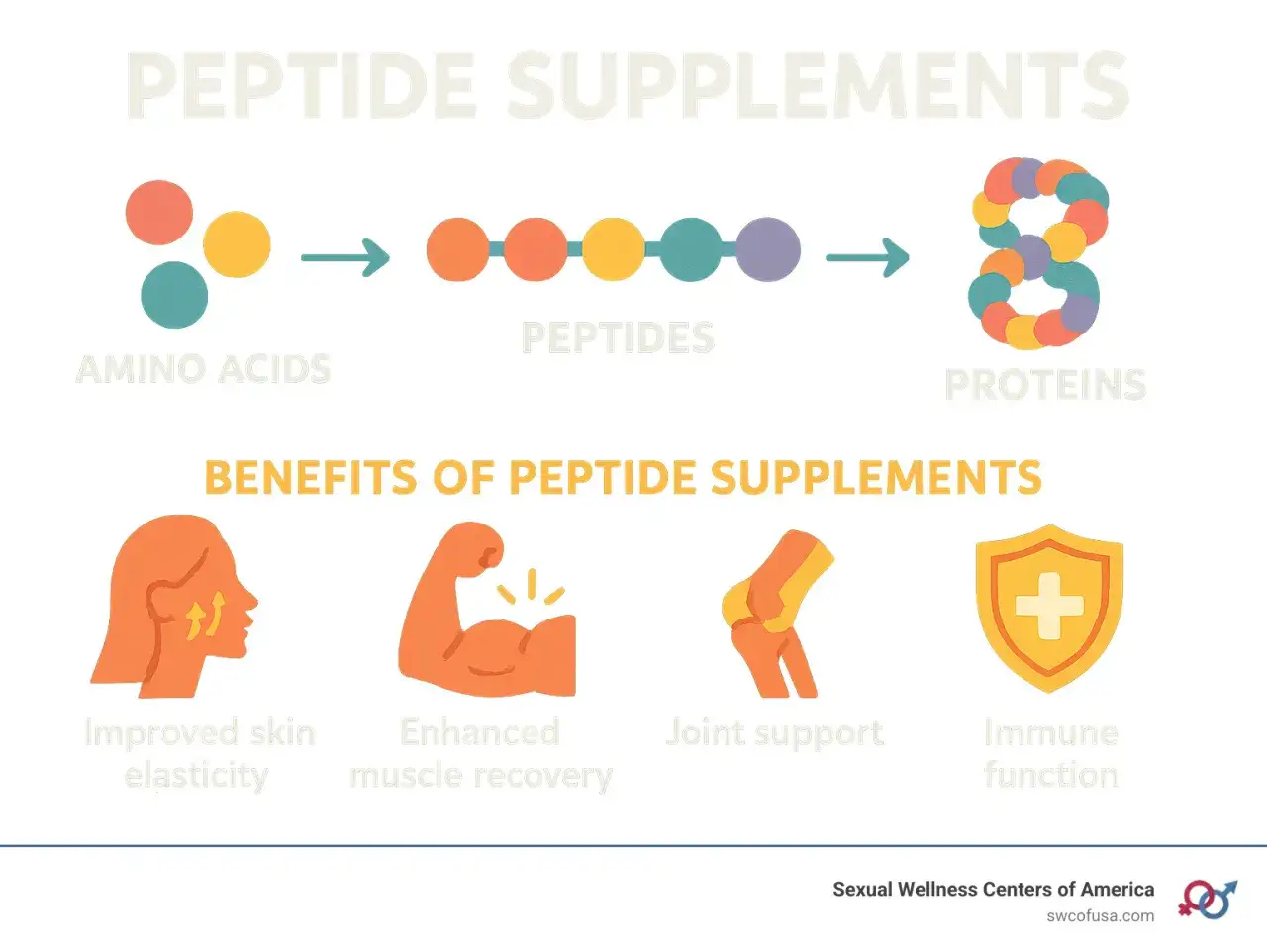 Peptydy co to? Ilustracja pokazuje, jak aminokwasy łączą się w peptydy, a następnie w białka. Korzyści z suplement&oacute;w peptydowych: poprawa elastyczności sk&oacute;ry, regeneracja mięśni, wsparcie staw&oacute;w, funkcja odpornościowa.