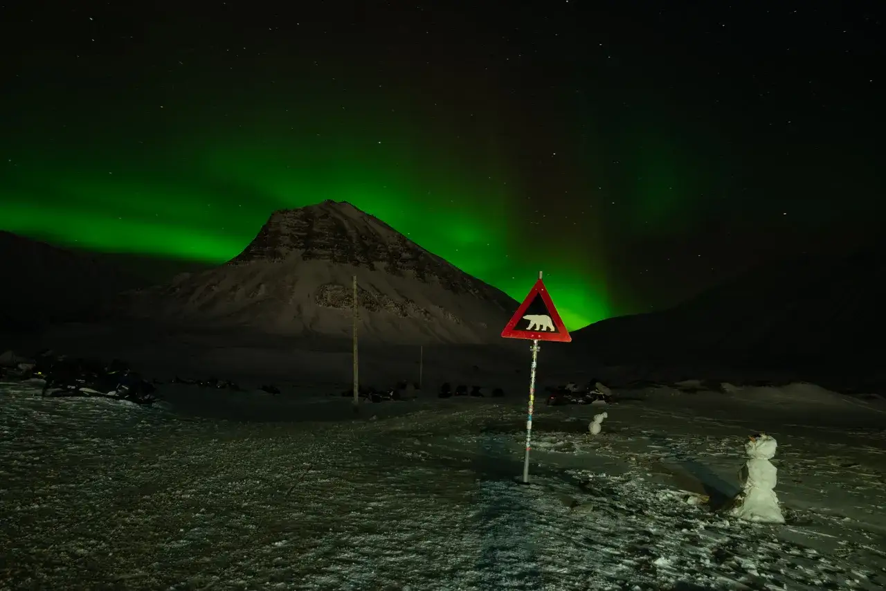 Aurora nad Islandią, znak niedźwiedzia polarnego. Idealny czas na podróż, kiedy najlepiej lecieć do Islandii, by zobaczyć to zjawisko.