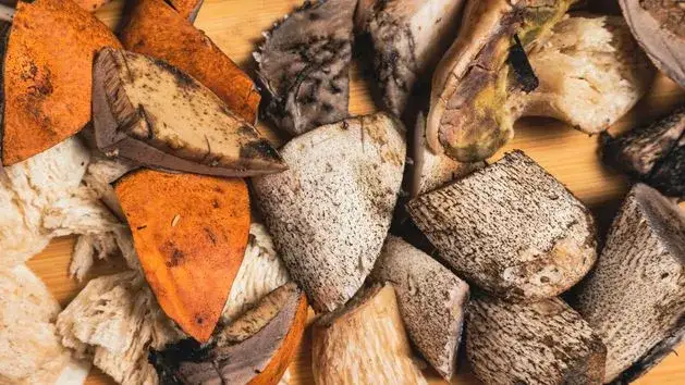 Robaczywe opieńki, grzyby z robakami, czyszczenie grzyb&oacute;w z robak&oacute;w