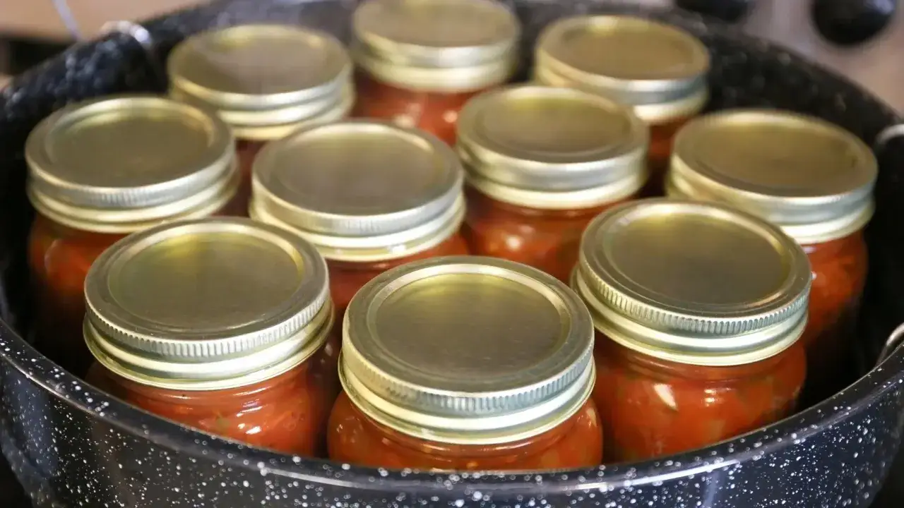 Słoiki z domowym sosem do spaghetti czekają na pasteryzację. Tak przygotujesz go na zimę, jak zawekować sos do spaghetti.