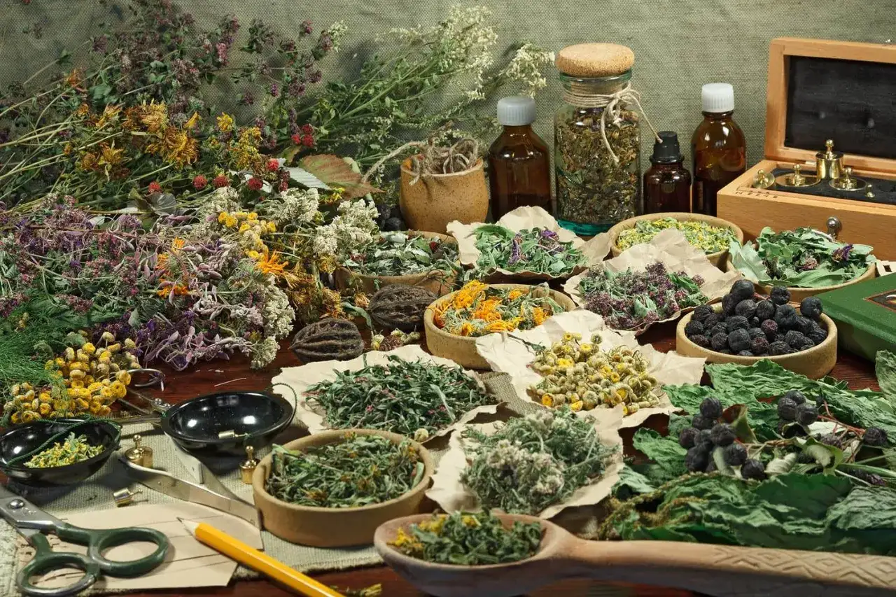 Zioła na dnie moczanowej bez recepty: rumianek, aronia, tymianek i inne naturalne składniki.