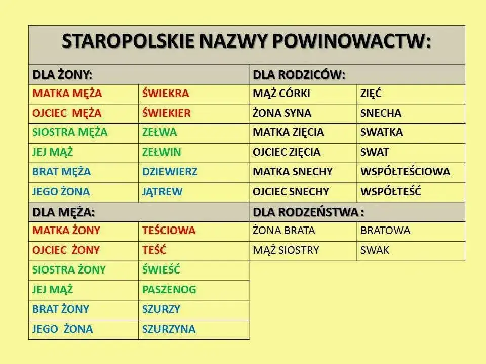 Zdjęcie Jak określa się żonę brata w rodzinie? Poznaj nazwy pokrewieństwa
