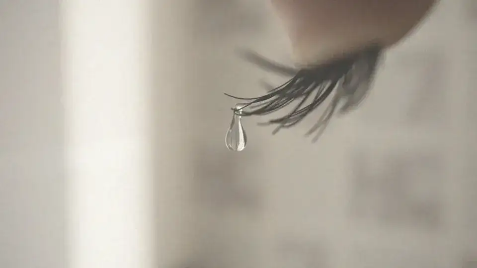 Zdjęcie Czy rzęsy odrastają po wyrwaniu? Poznaj prawdę o ich regeneracji