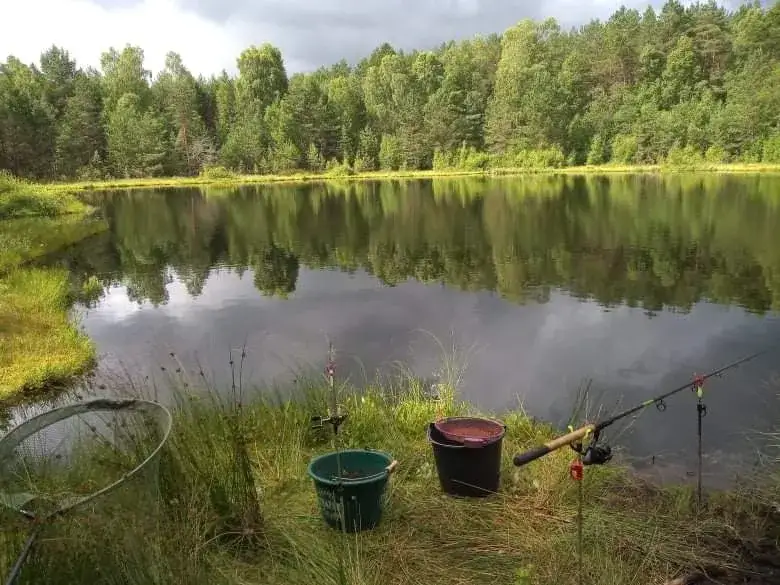 Zdjęcie Opinie wędkarzy o jeziorze Wdzydze: jakie ryby można złowić?