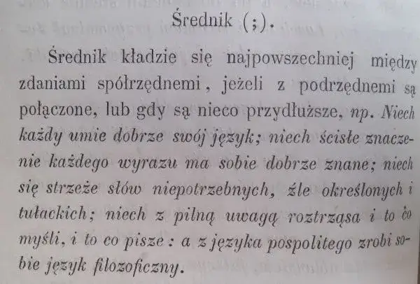 Zdjęcie Jak używać średnika w zdaniu po angielsku? Praktyczne zastosowania