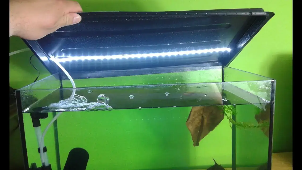 Zdjęcie Z czego zrobić pokrywę do akwarium: 4 najlepsze materiały i instrukcja