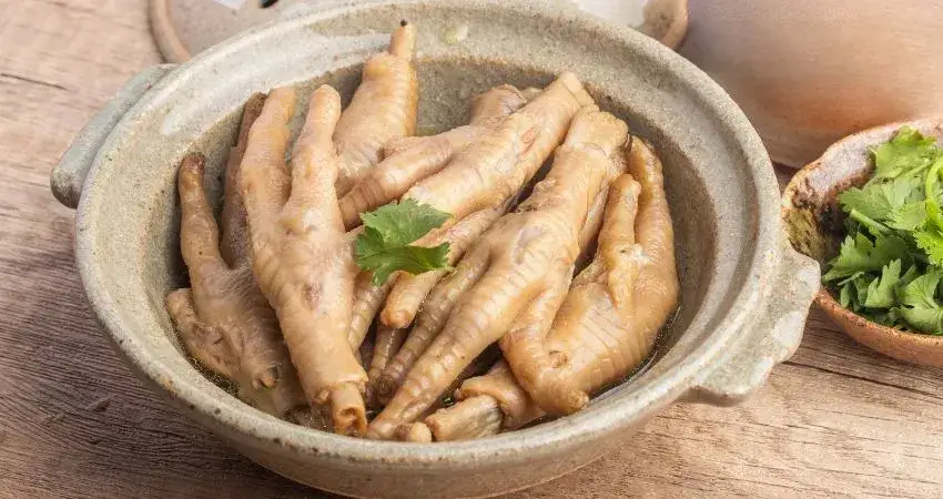 Zdjęcie Czy pies może jeść kurze łapki? Bezpieczne przygotowanie i korzyści