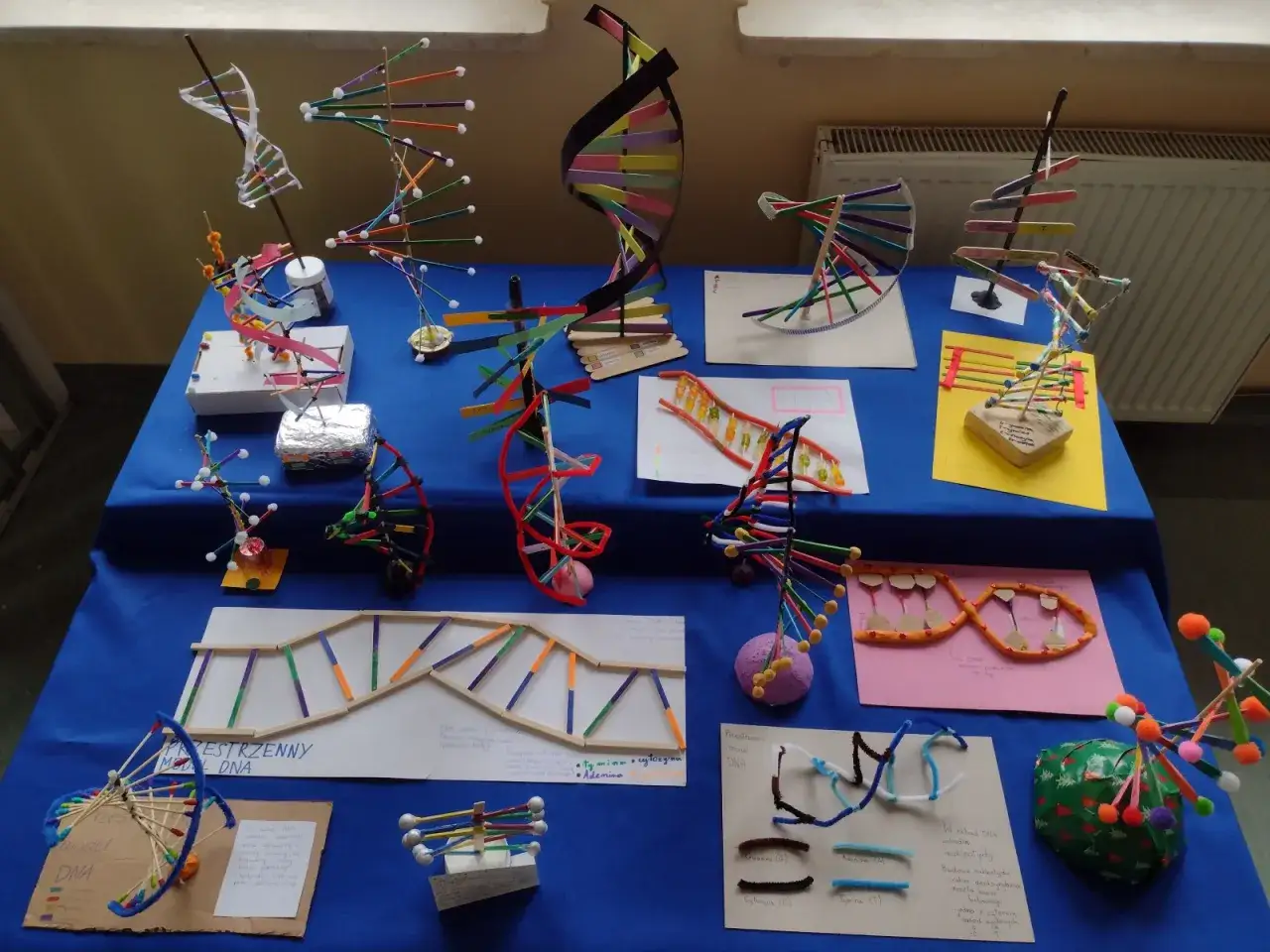 Jak zrobić model DNA z koralików? Różnorodne, kolorowe modele podwójnej helisy DNA wykonane z patyczków, koralików i innych materiałów.