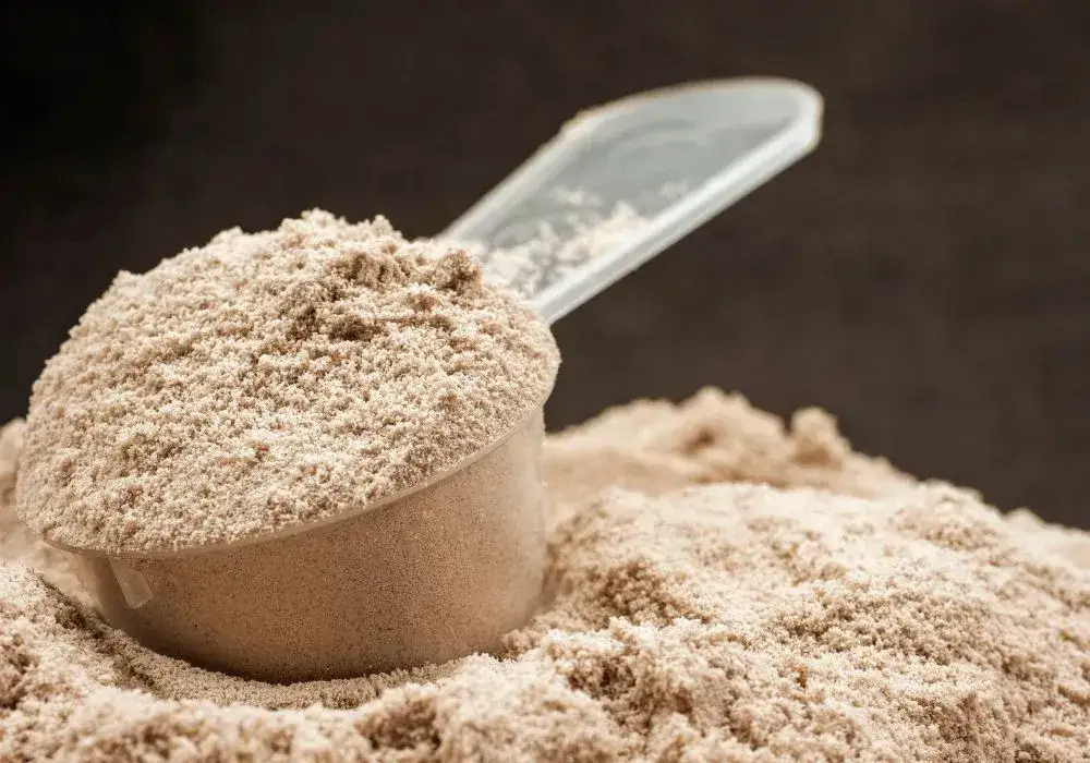 r&oacute;żne rodzaje białka roślinnego proszek