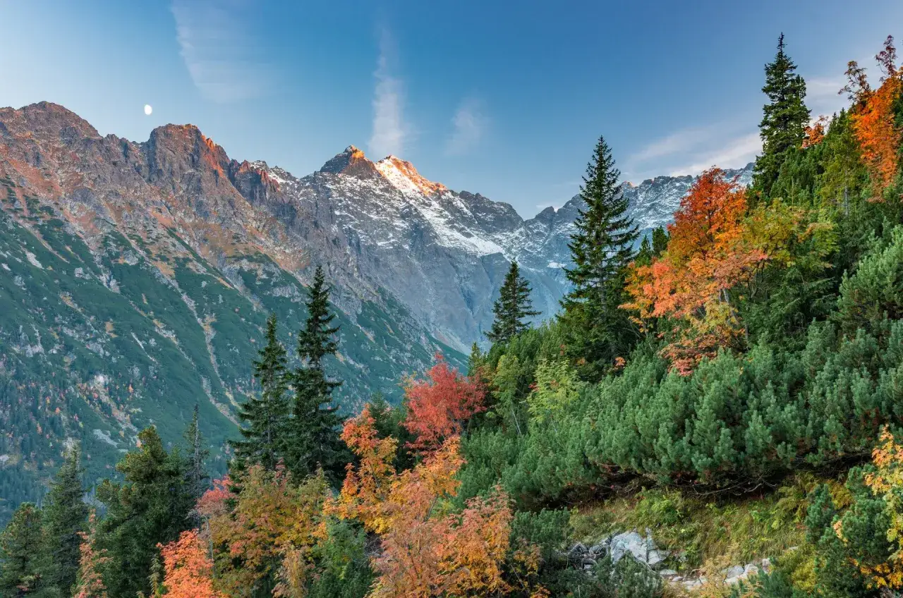 Jesienne barwy w Tatrach. G&oacute;ry ośnieżone, a na pierwszym planie bujna zieleń i drzewa w odcieniach złota i czerwieni. Księżyc na błękitnym niebie.