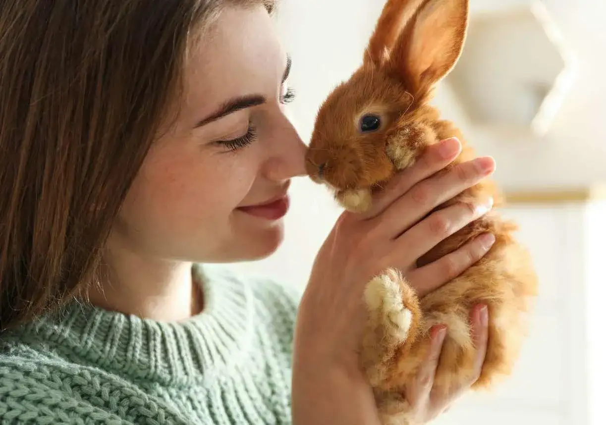 Uśmiechnięta dziewczyna delikatnie głaszcze rudego, puszystego królika. To idealny królik dla dziecka, który przyniesie wiele radości.