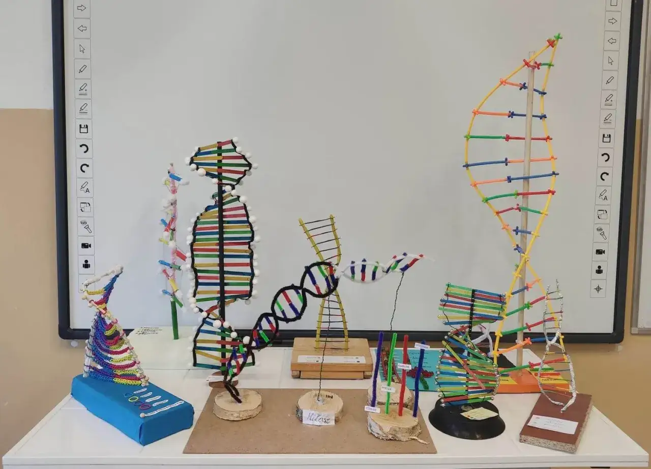 Różnorodne modele DNA z koralików i patyczków, pokazujące jak zrobić model dna z koralików.