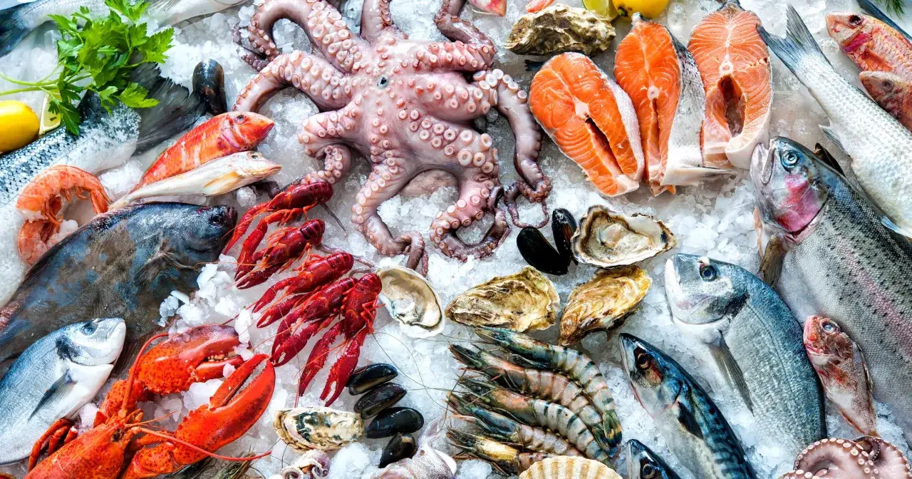 r&oacute;żne rodzaje owoc&oacute;w morza