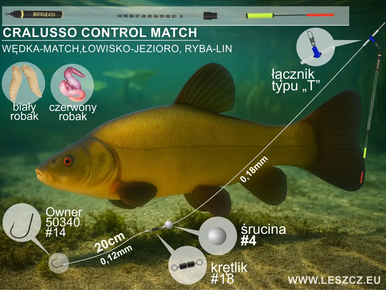 ryby słodkowodne leszcz płoć lin karaś karp
