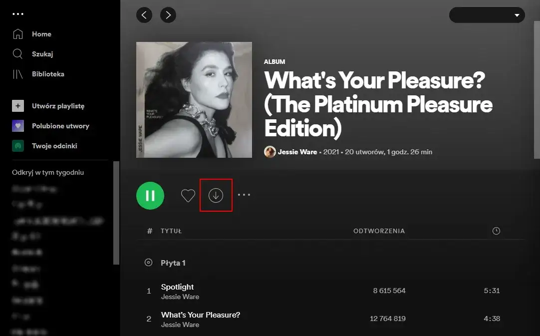 Spotify Premium pobieranie playlisty ikona