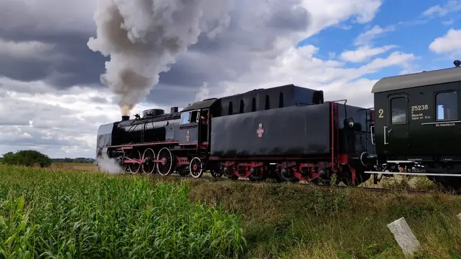 Parowozownia Wolsztyn czynny parow&oacute;z