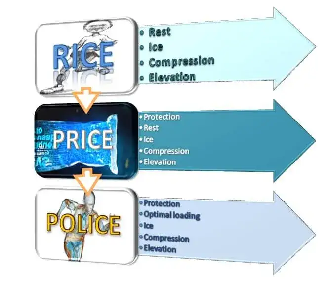 protokół RICE POLICE grafika