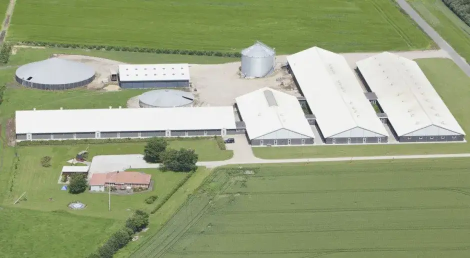 Zdjęcie Jaka odległość chlewni od budynku mieszkalnego? Oto nowe przepisy