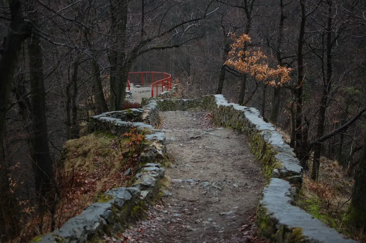 Kamienna ścieżka z kamiennym murem i pomarańczową barierką w lesie. Książański Park Krajobrazowy jesienią.