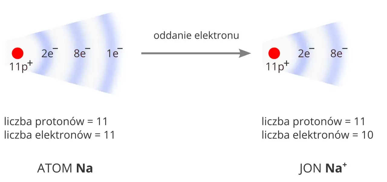 budowa atomu i powstawanie jonów schemat