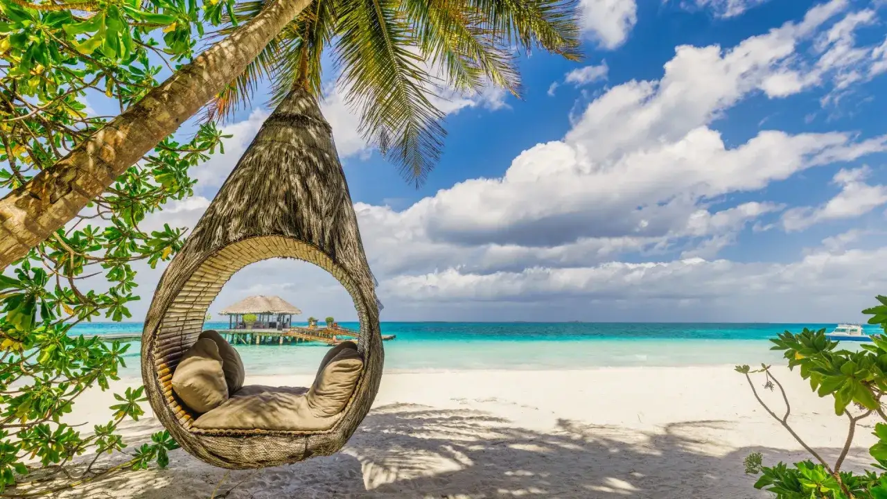 Egzotyczna plaża z palmami w listopadzie