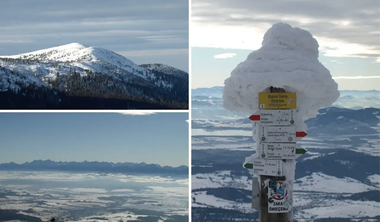 Zimowa Babia G&oacute;ra. Śnieżny szczyt, zasypany znakami szlak&oacute;w turystycznych, g&oacute;ruje nad ośnieżonym krajobrazem.