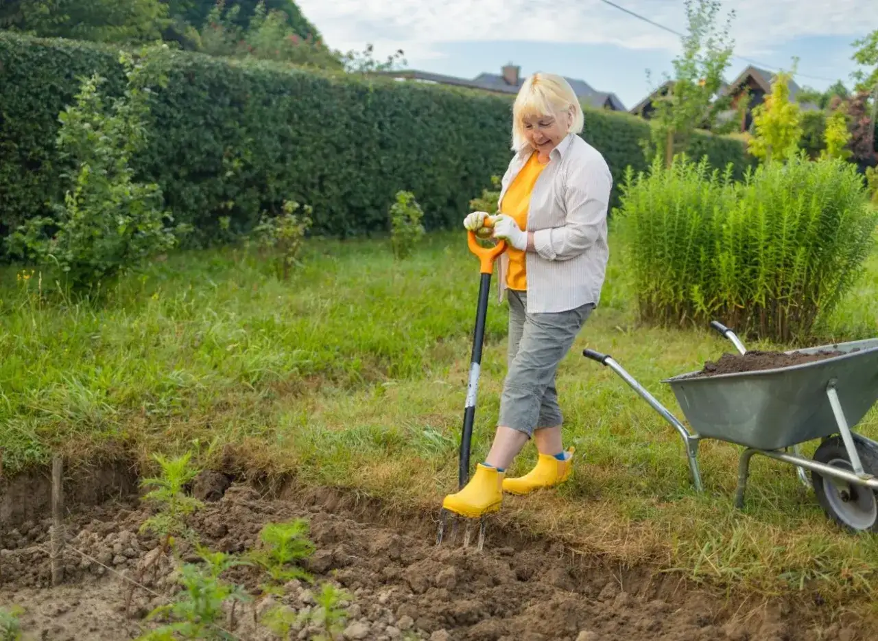 Kobieta w ogrodzie z widłami, zastanawia się, czy popiół jest dobrym nawozem. Obok taczka z ziemią.