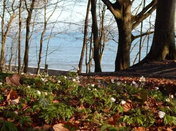 Zdjęcie Rozewie atrakcje – miejsca, które musisz zobaczyć i przeżyć