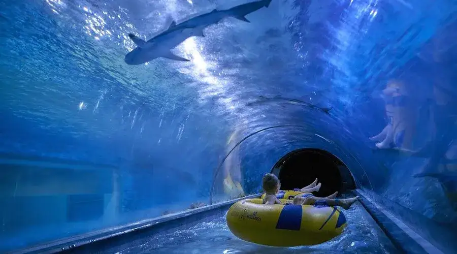 Aquapark Reda wnętrze, Fokarium Hel, Muzeum Bursztynu Gdańsk