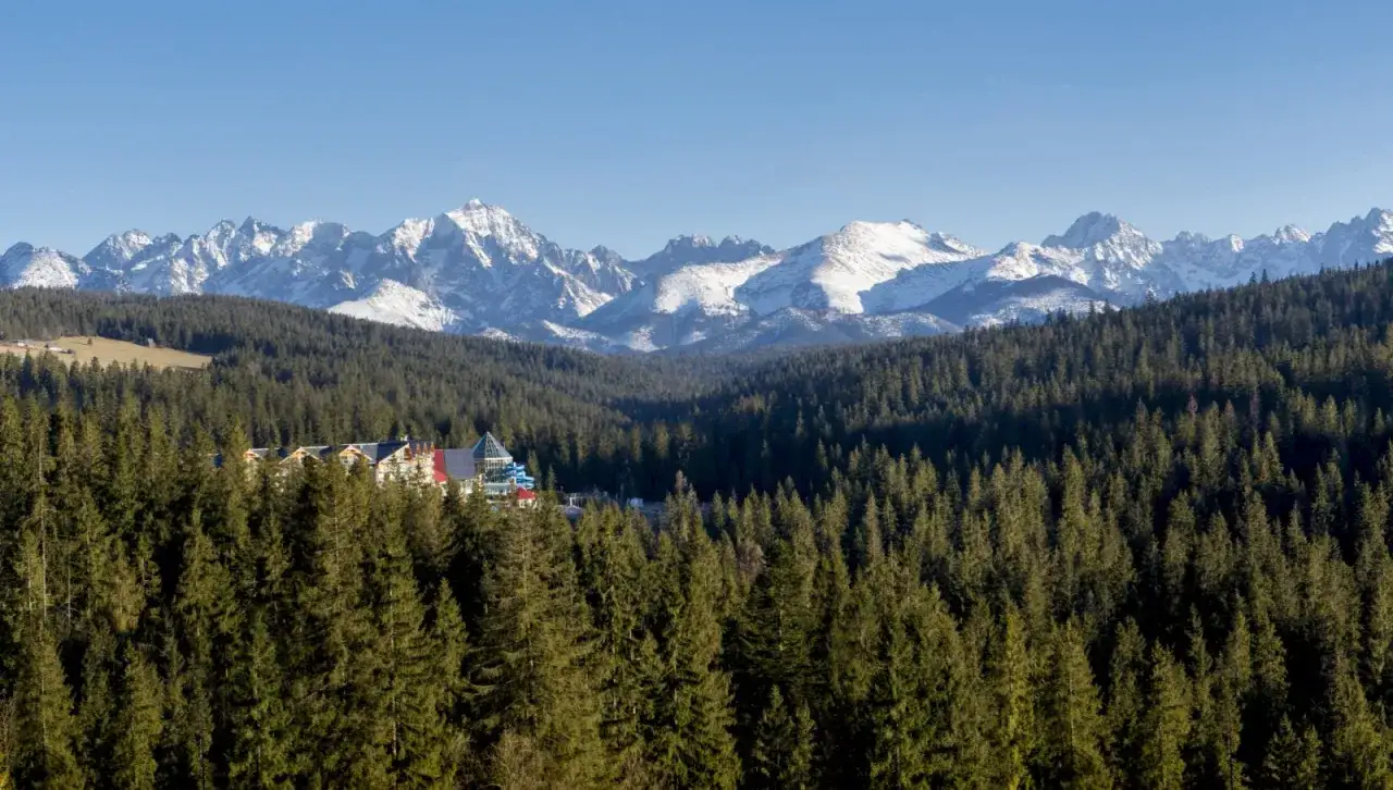 Termy Bukowina jak dojechać? Widok na kompleks basen&oacute;w wśr&oacute;d lasu i ośnieżonych Tatr.