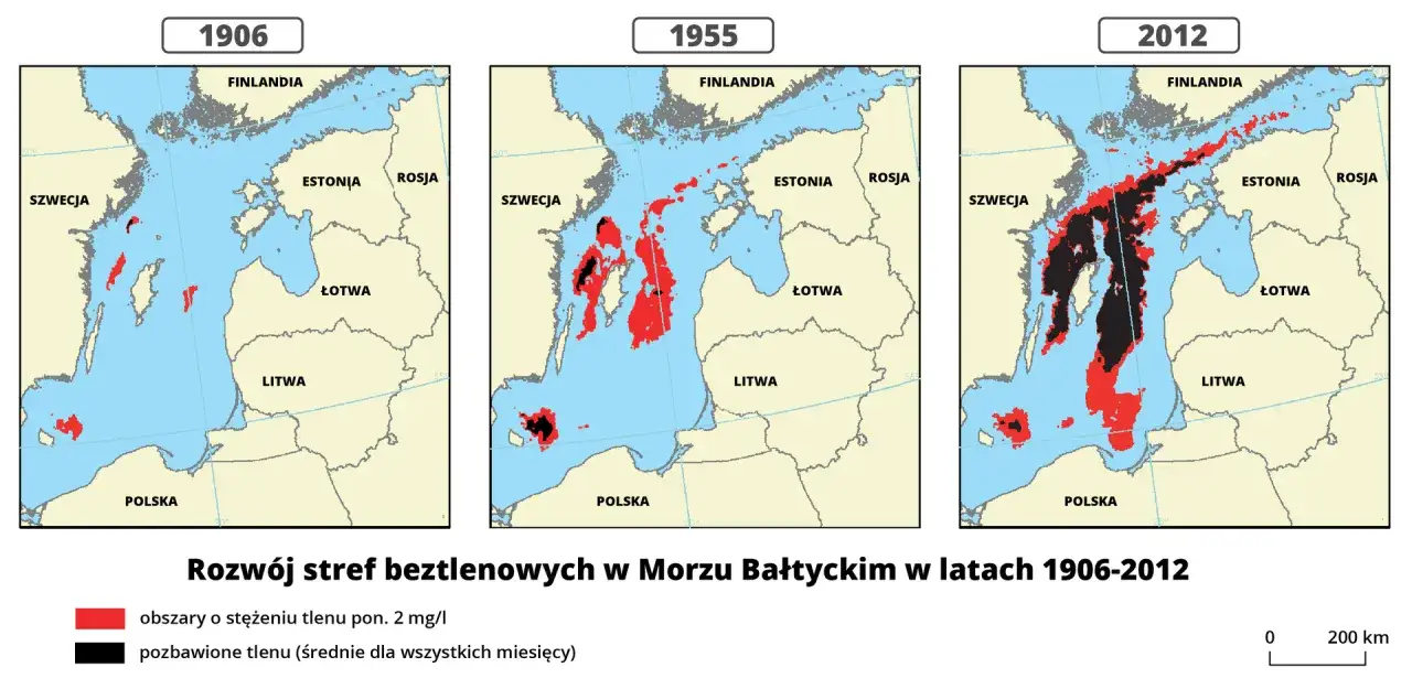 Mapy pokazują rozwój stref beztlenowych w Bałtyku. Wzrost tych stref wyjaśnia, dlaczego różnorodność biologiczna Bałtyku jest niewielka.