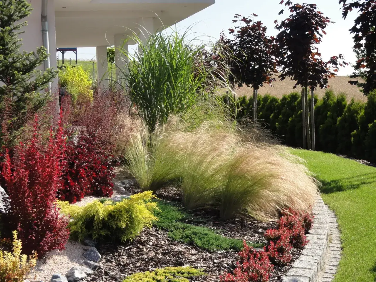 przykładowe kompozycje roślinne w ogrodzie przed domem