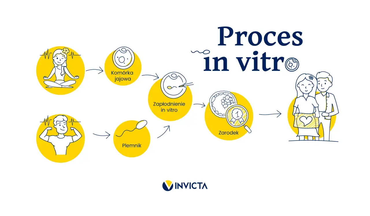 Ilustracja procesu in vitro: od komórki jajowej i plemnika, przez zapłodnienie, zarodek, aż po szczęśliwą parę. Dostępna refundacja in vitro.