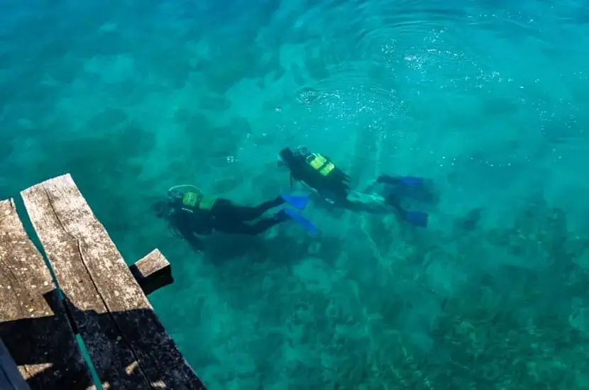 Zdjęcie Nurkowanie w Jeziorze Ochrydzkim: Warunki, Wrażenia i Usługi