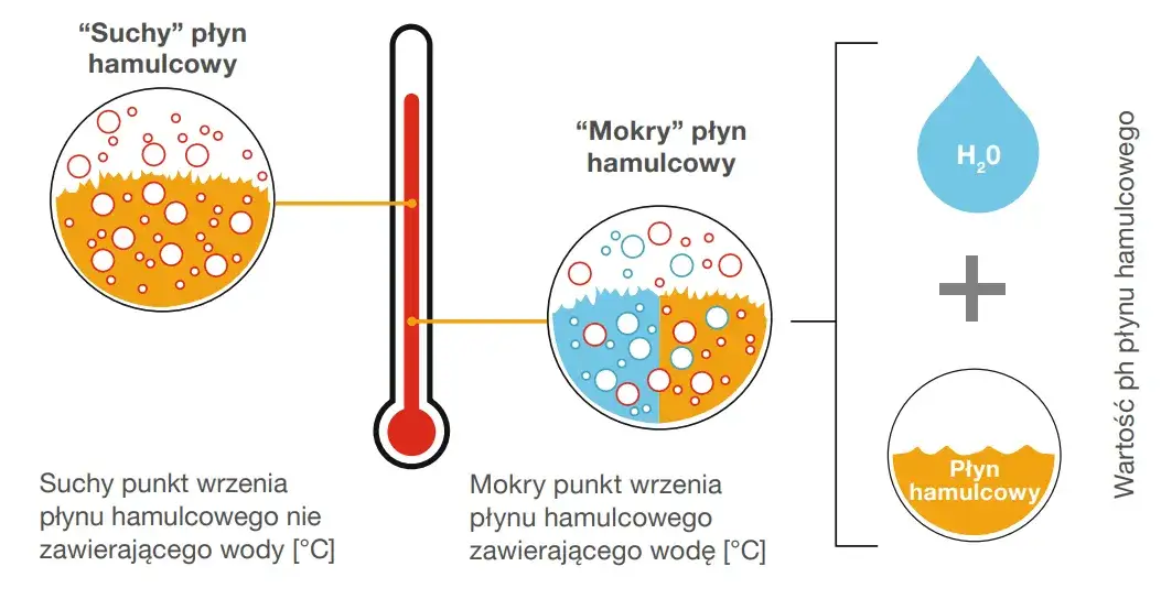 Zdjęcie Płyn hamulcowy MOTUL DOT 5.1 - uniknij problemów z hamowaniem