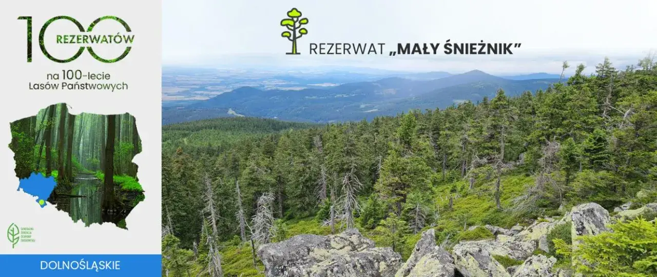 Zdjęcie Rezerwat przyrody Śnieżnik Kłodzki - odkryj jego niezwykłe tajemnice