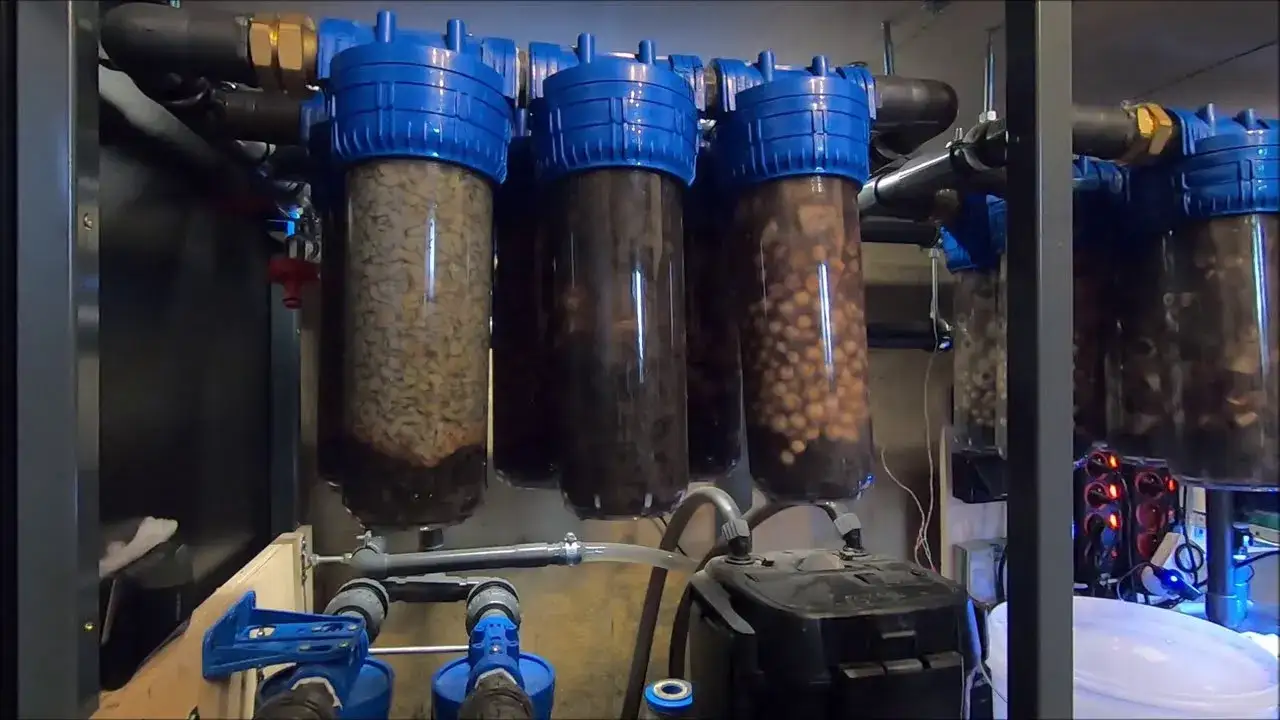 Zdjęcie Skuteczne stosowanie zeolitu w akwarium: kompleksowy poradnik dla akwarystów