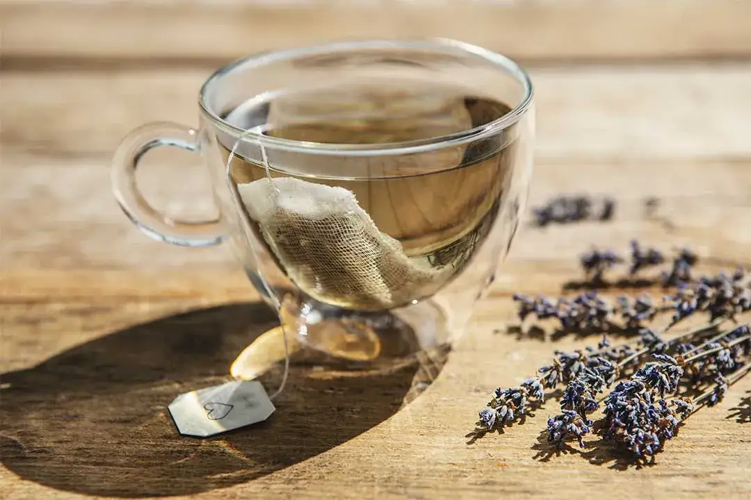 Zdjęcie Jak zrobić herbatę z lawendy? Prosty przepis i korzyści dla zdrowia