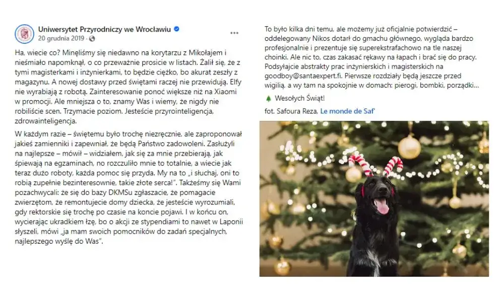 Zdjęcie Profesjonalne życzenia świąteczne dla kontrahentów: przykłady i porady