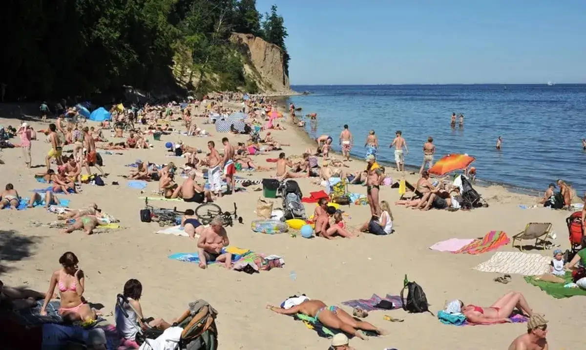 Zdjęcie Ile geodeta bierze od punktu? Sprawdź ceny i ukryte koszty