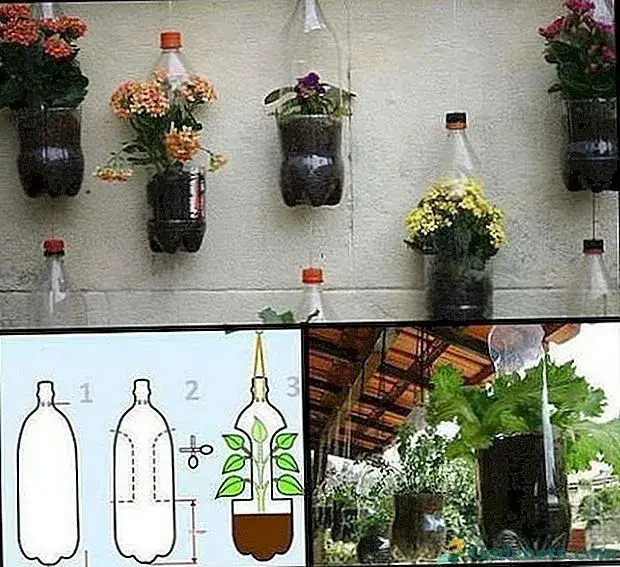 Zdjęcie Jak łatwo zrobić kwietnik z butelek plastikowych – krok po kroku z poradami