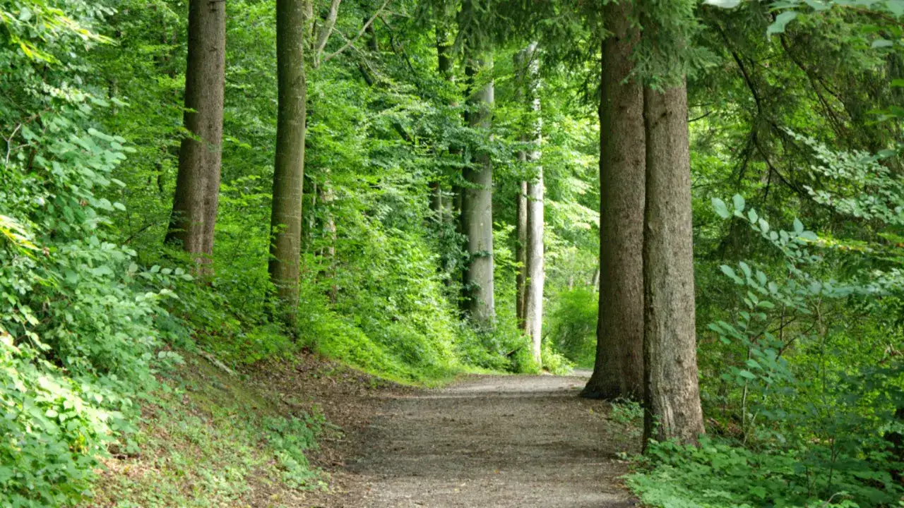 Zdjęcie Najlepsze trasy rowerowe w Łodzi - odkryj ciekawe szlaki i atrakcje