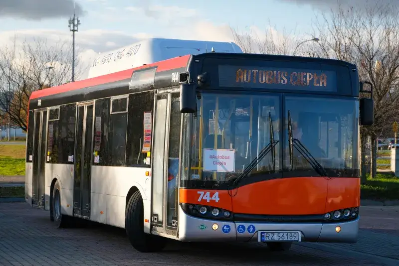 Zdjęcie Polski bus Rzeszów - sprawdź, skąd odjeżdża i uniknij problemów