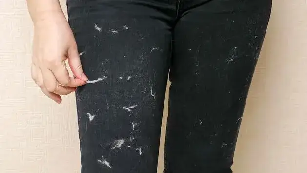 Zdjęcie Jak pozbyć się sierści z ubrań podczas prania - skuteczne metody