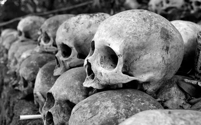 Zdjęcie Motyw ucieczki w literaturze: jak literatura ukazuje ludzkie lęki